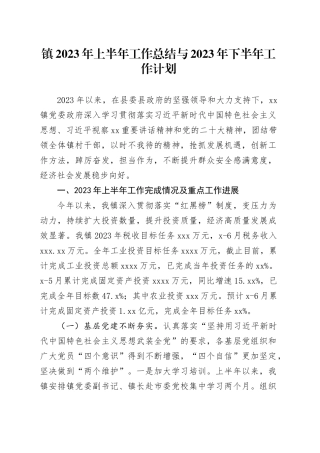 镇2023年上半年工作总结与2023年下半年工作计划（20230627）