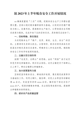镇2023年上半年粮食安全工作开展情况（20230704）