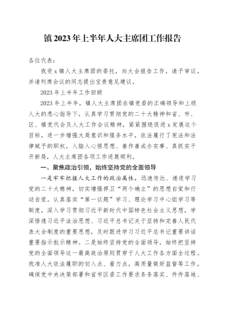 镇2023年上半年人大主席团工作报告(1)