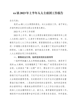 镇2023年上半年人大主席团工作报告