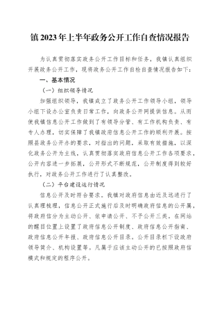 镇2023年上半年政务公开工作自查情况报告