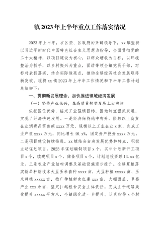 镇2023年上半年重点工作落实情况（20230627）
