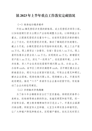 镇2023年上半年重点工作落实完成情况（20230708）