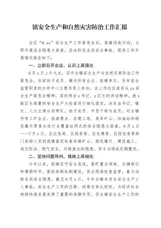 镇安全生产和自然灾害防治工作汇报(1)