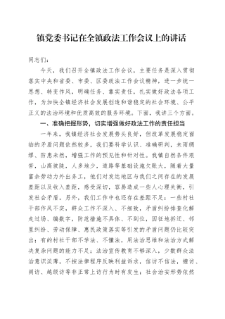 镇党委书记在全镇政法工作会议上的讲话