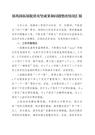 镇巩固拓展脱贫攻坚成果和问题整改情况汇报