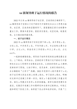 镇领导班子运行情况的报告