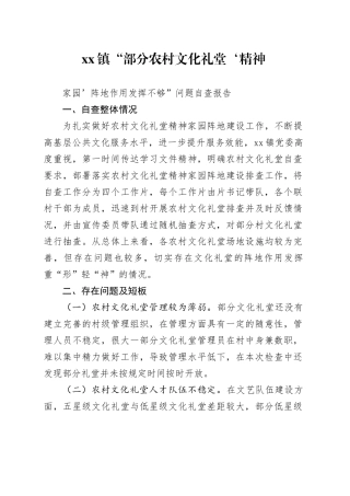 镇农村文化礼堂问题自查报告