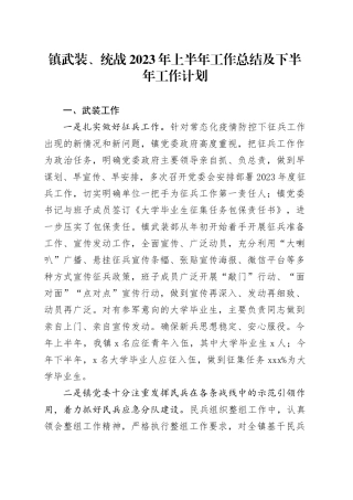镇武装、统战2023年上半年工作总结及下半年工作计划