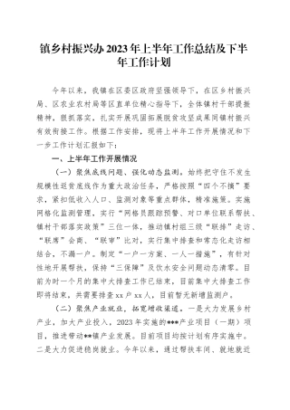 镇乡村振兴办2023年上半年工作总结及下半年工作计划