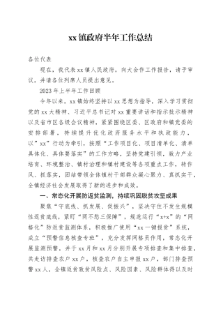 镇政府半年工作总结
