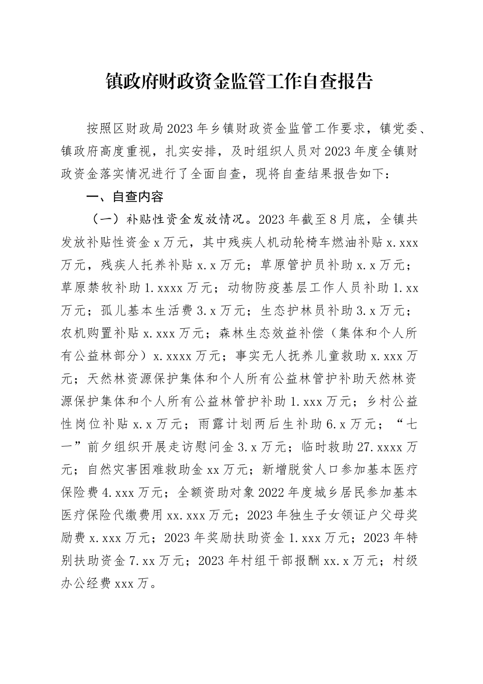 镇政府财政资金监管工作自查报告_第1页