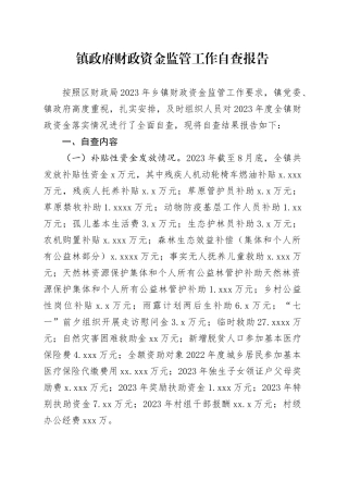 镇政府财政资金监管工作自查报告