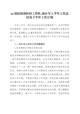 镇驻镇帮扶村工作队2023年上半年工作总结及下半年工作计划