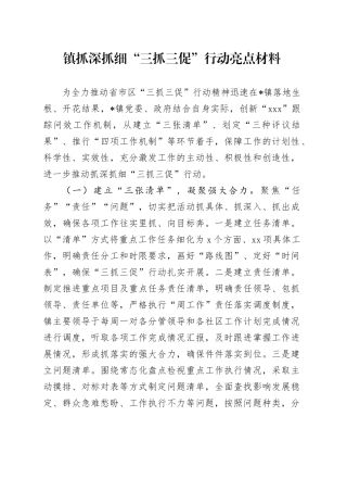 镇抓深抓细“三抓三促”行动亮点材料(1)