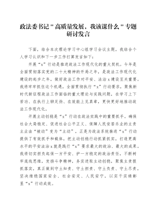 政法委书记＂高质量发展，我该谋什么＂专题研讨发言