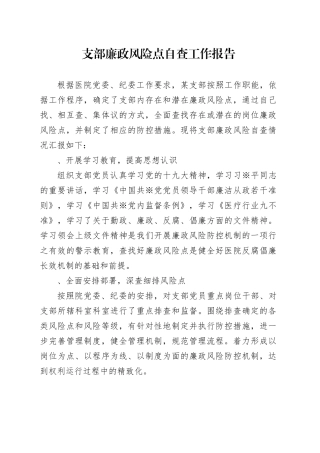 支部廉政风险点自查工作报告