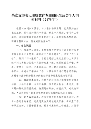 支部书记主题教育专题组织生活会个人剖析材料