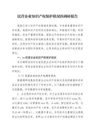 知识产权调研报告