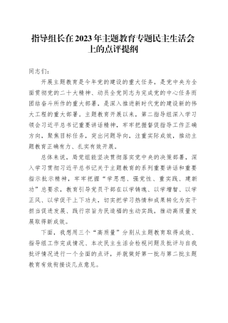 指导组长在2023年主题教育专题民主生活会上的点评提纲