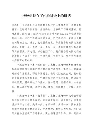 指导组长在工作推进会上的讲话
