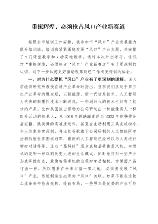 重振辉煌，必须抢占风口产业新赛道