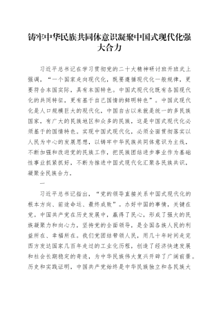 铸牢中华民族共同体意识 凝聚中国式现代化强大合力