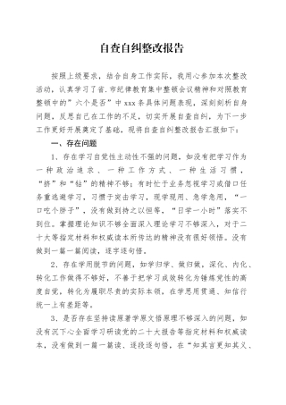 自查自纠整改报告