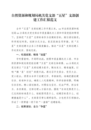 自然资源和规划局机关党支部五星支部创建工作汇报总结报告工作经验230619