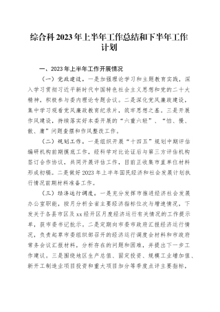 综合科2023年上半年工作总结和下半年工作计划（20230808）