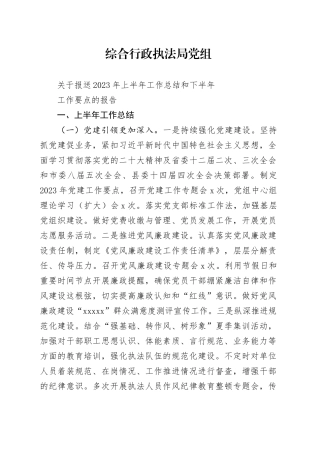 综合行政执法局党组半年总结和下半年计划