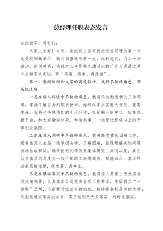 总经理任职表态发言