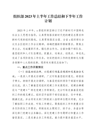 组织部2023年上半年工作总结和下半年工作计划