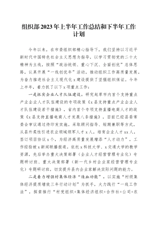 组织部2023年上半年工作总结和下半年工作计划-2
