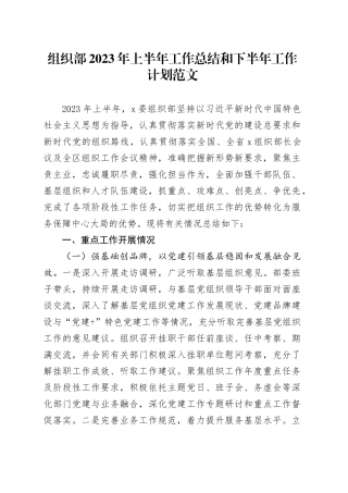 组织部2023年上半年工作总结和下半年计划（汇报报告）