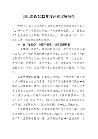 组织部长2022年度述责述廉报告