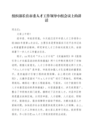 组织部长在市委人才工作领导小组会议上的讲话