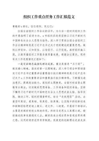 组织工作重点任务工作汇报总结报告