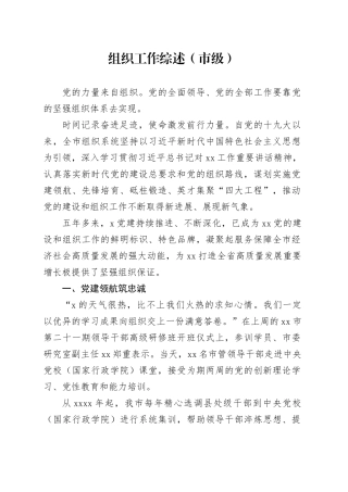 组织工作综述（市级）