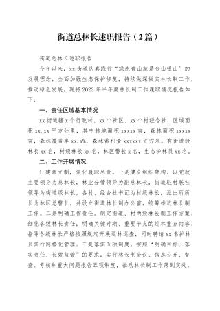 （2篇）街道总林长述职报告