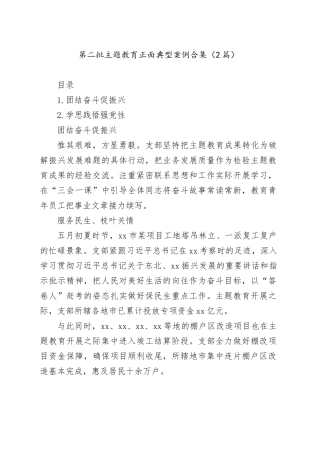 （2篇）有关第二批主题教育正面典型案例合集