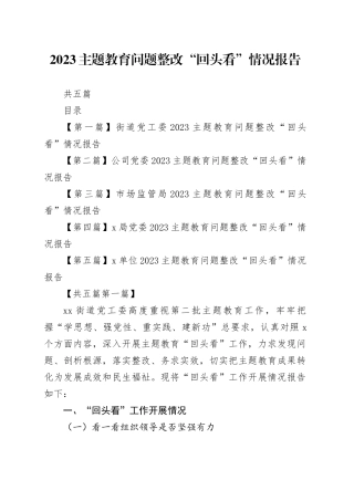 （5篇）2023主题教育问题整改“回头看”情况报告