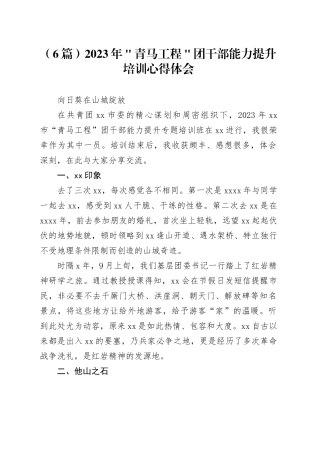 （6篇）2023年＂青马工程＂团干部能力提升培训心得体会