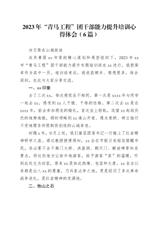 （6篇）2023年“青马工程”团干部能力提升培训心得体会