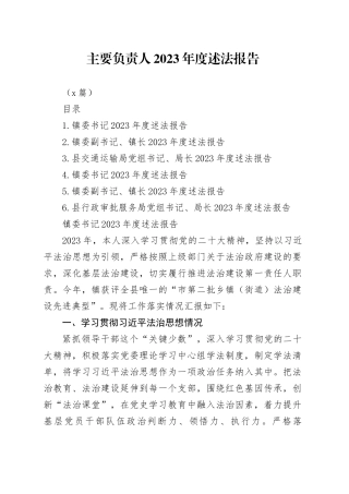 （6篇）主要负责人2023年度述法报告