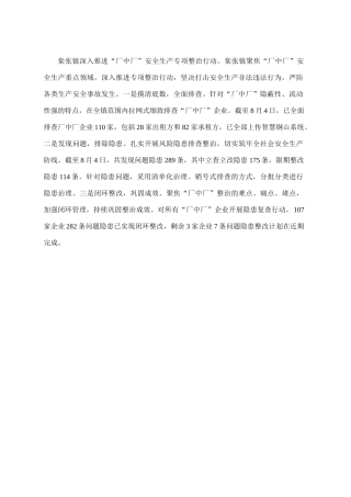 （8.7报）棠张镇深入推进“厂中厂”安全生产专项整治行动
