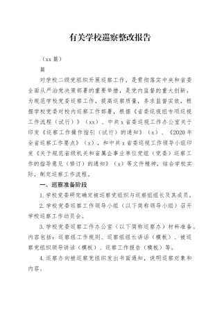（10篇）有关学校巡察整改报告