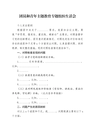 （团支部）个人发言提纲（仅供参考）
