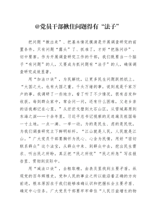 @党员干部 揪住问题得有“法子”