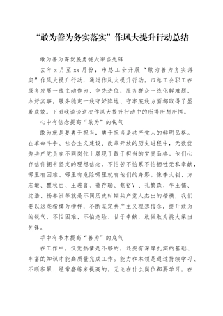 “敢为善为务实落实”作风大提升行动总结